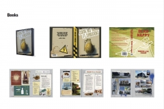 No-Flambooki-Design-3