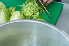 01-20-Balance_H4A4663