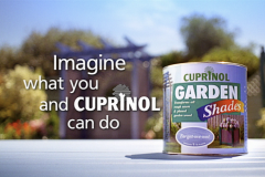 Cuprinol Paint